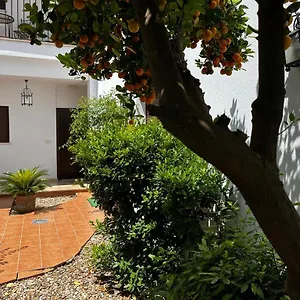 Acogedor Junto A Plaza De San Agustin Córdoba